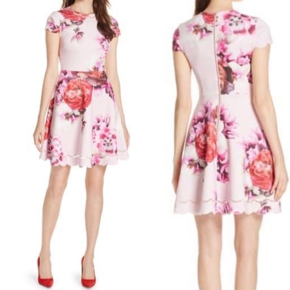 seeana splendour skater dress